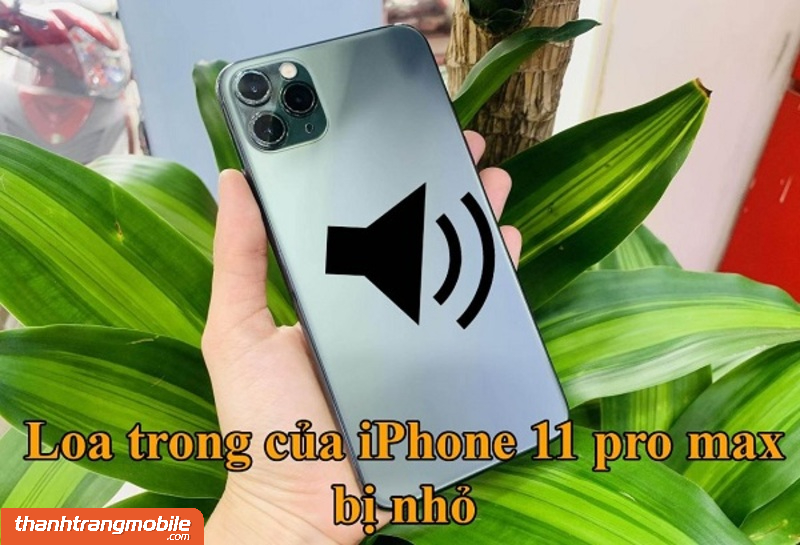 thay-loa-trong-dien-thoai-iphone-11-pro-max Thay Loa Trong iPhone 11 Pro Max