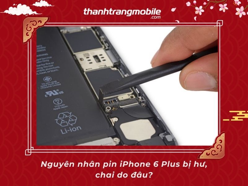 Thay Pin iPhone 6 Plus giá rẻ tphcm