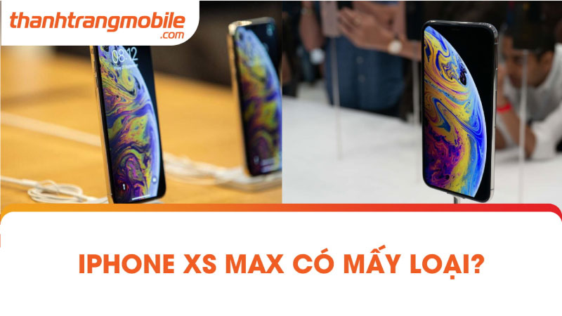 IPhone XS MAX có mấy loại?