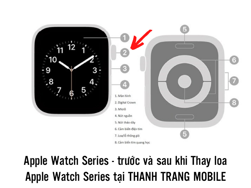 thay_loa_apple_watch_thanhtrangmobile.com-1-80-9 Thay Loa Apple Watch Series SE