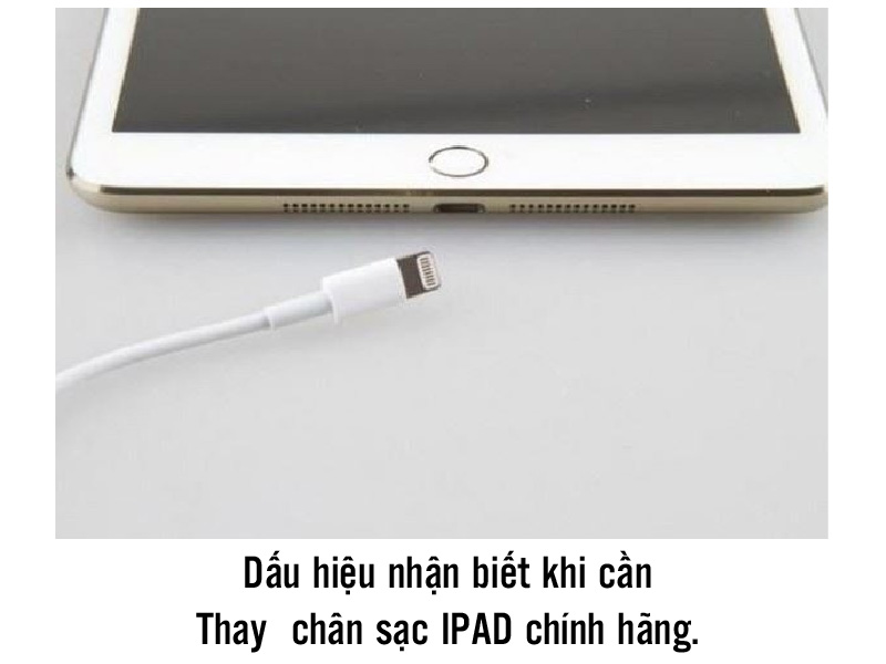 Thay Chân Sạc iPad Air 1