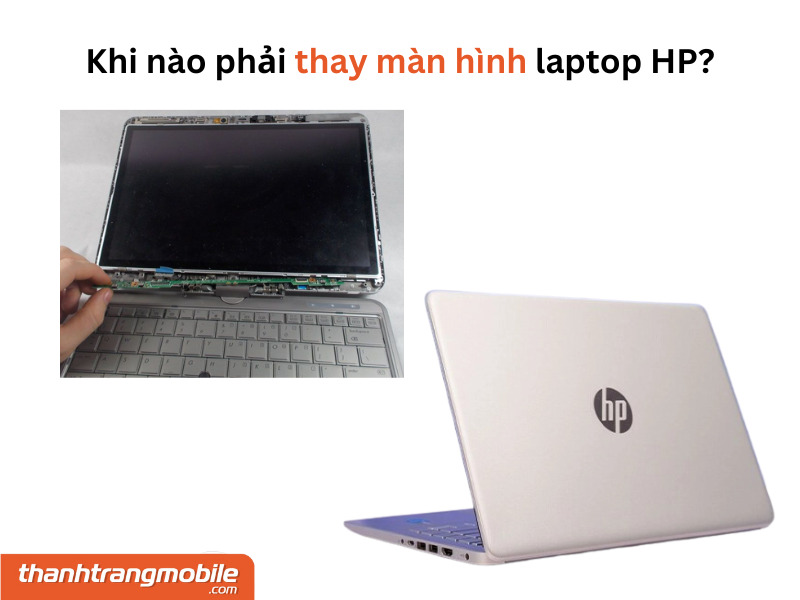 Thay màn hình laptop HP uy tín