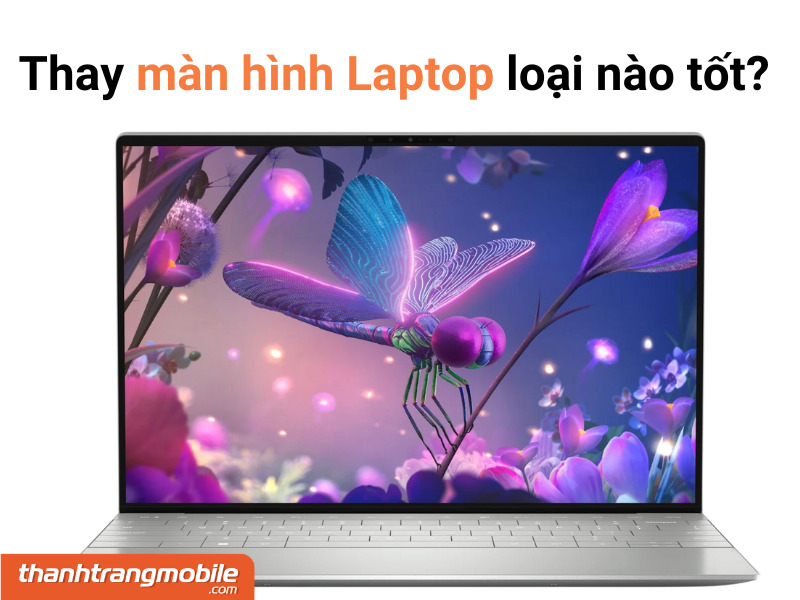 Thay màn hình laptop giá rẻ ở đâu