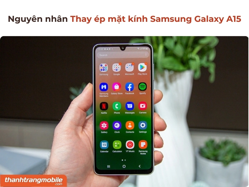 Thay ép mặt kính Samsung Galaxy A15 giá bao nhiêu