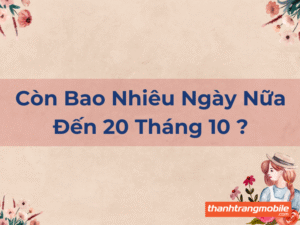 20 Tháng 10 Còn Bao Nhiêu Ngày ?