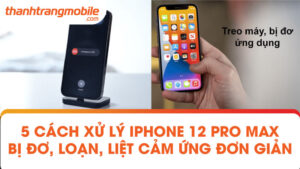 5 Cách xử lý iPhone 12 Pro Max bị đơ, loạn, liệt cảm ứng đơn giản