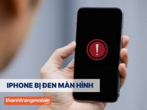 Màn hình iPhone bị đen do đâu? 5 cách khắc phục lỗi hiệu quả
