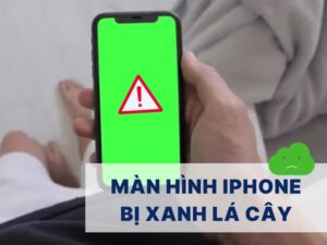Màn hình iPhone bị xanh lá cây do đâu? 5 cách khắc phục lỗi