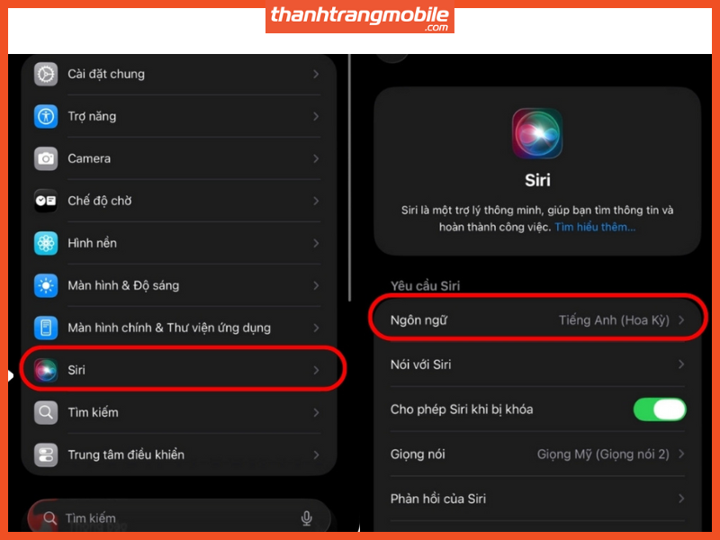 Ảnh chụp màn hình các tùy chọn ngôn ngữ cho Siri, với "Tiếng Việt" được chọn trên iPhone 17.