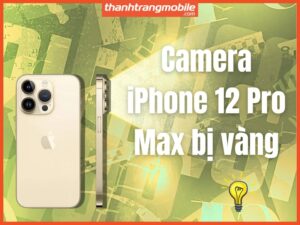 Camera iPhone 12 Pro Max bị vàng: Nguyên nhân & cách xử lý hiệu quả