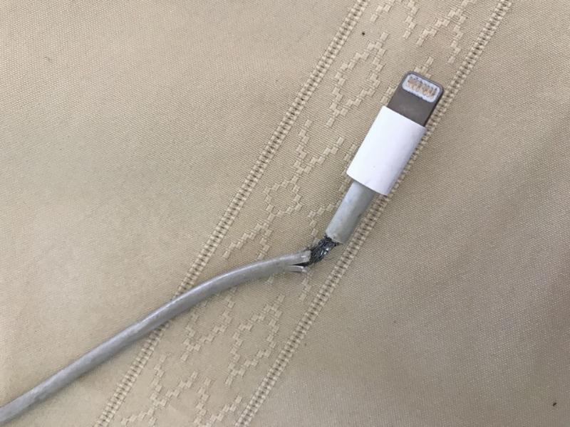 Hiện tượng iPhone không nhận sạc không chỉ ảnh hưởng trải nghiệm mà còn có thể gây hư hỏng pin nếu để lâu. Tìm hiểu cách sửa đúng cách ngay hôm nay.