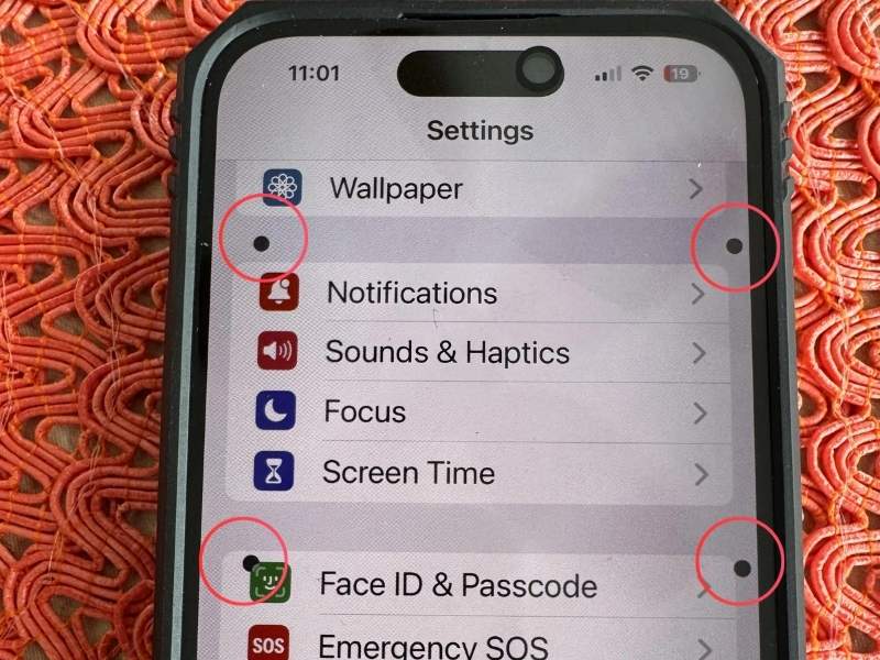 man-hinh-iPhone-bi-cham-den-nho (6)